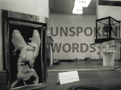 unspoken words